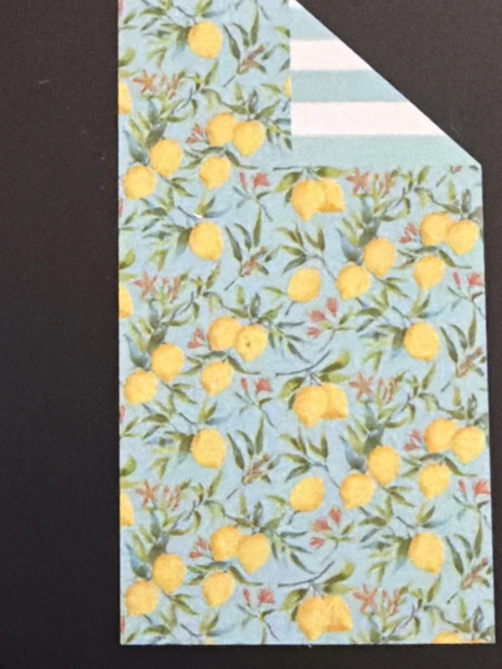 Nicole Miller Lemon Print Reversible Beach Towel & Travel Bag